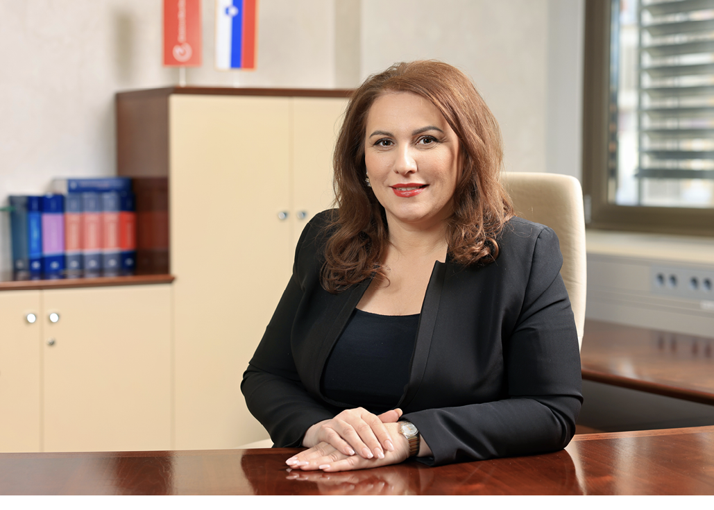 Investicijski cikel bo treba v prihodnje še okrepiti